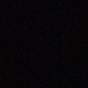 Meet your Posher, Bella